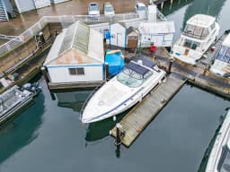 Sunny Greet thumbnail 1