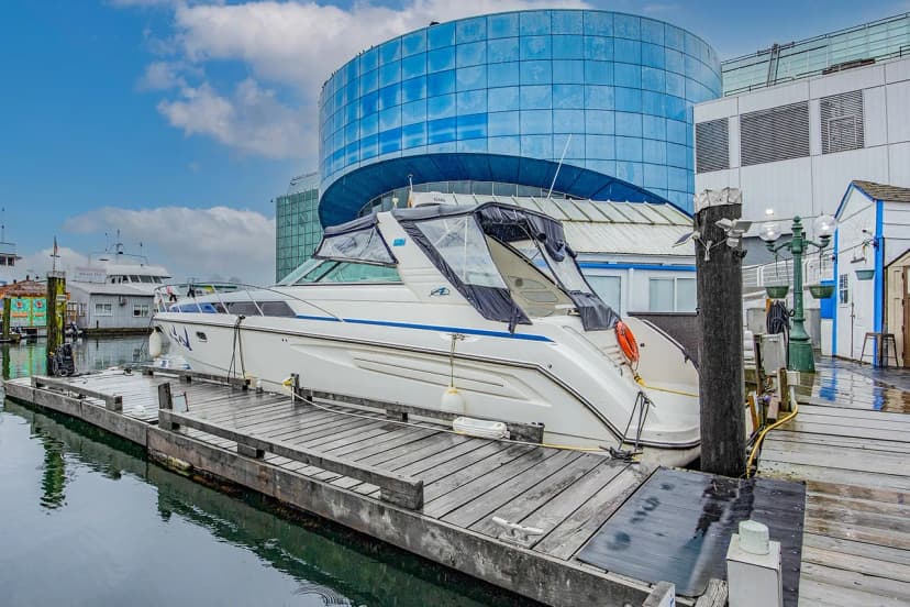 Sunny Greet - Image 2