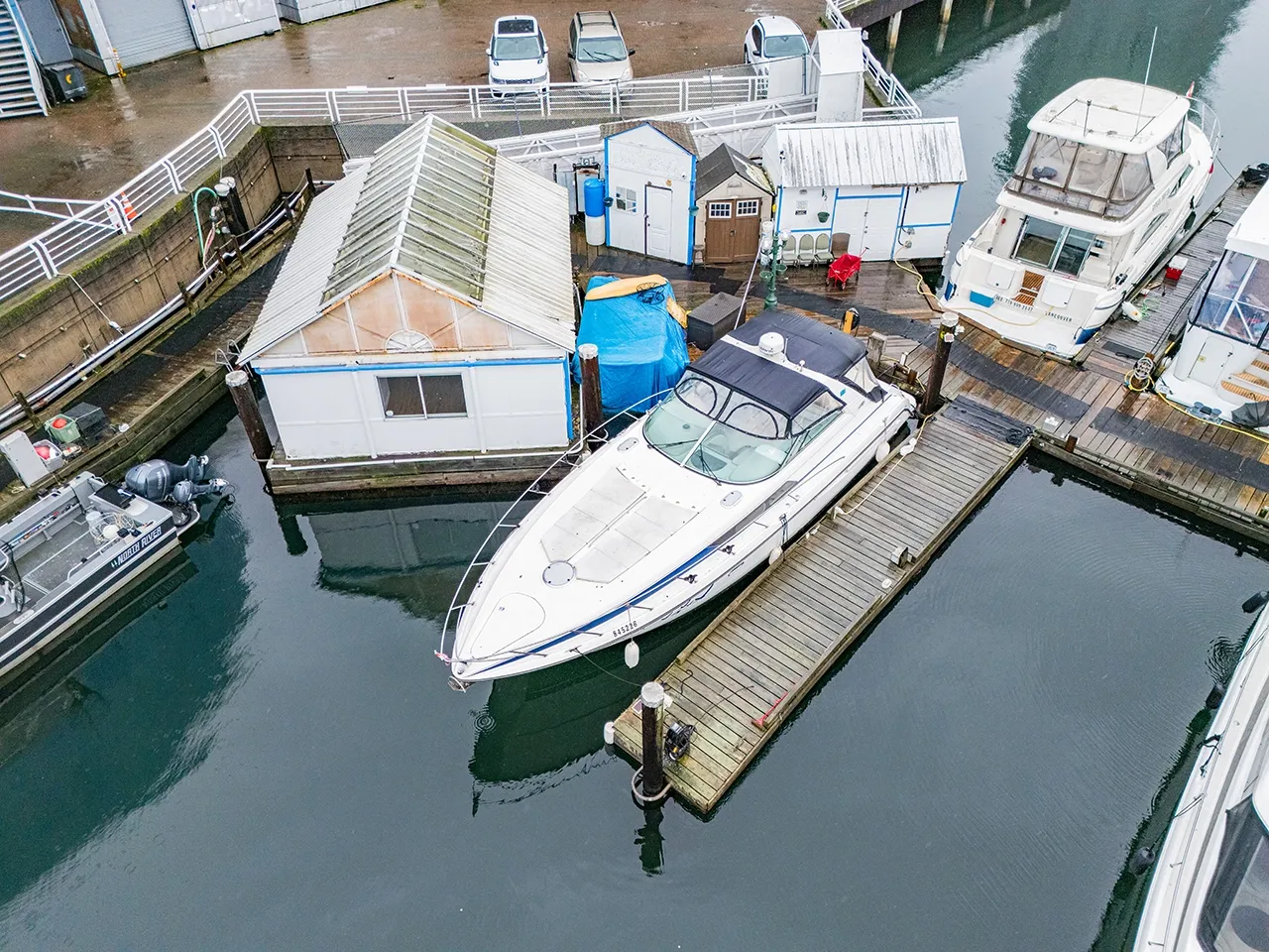 Sunny Greet - Image 1